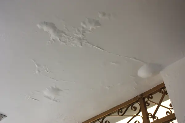 Parete con macchie di umidità di risalita e intonaco distaccato